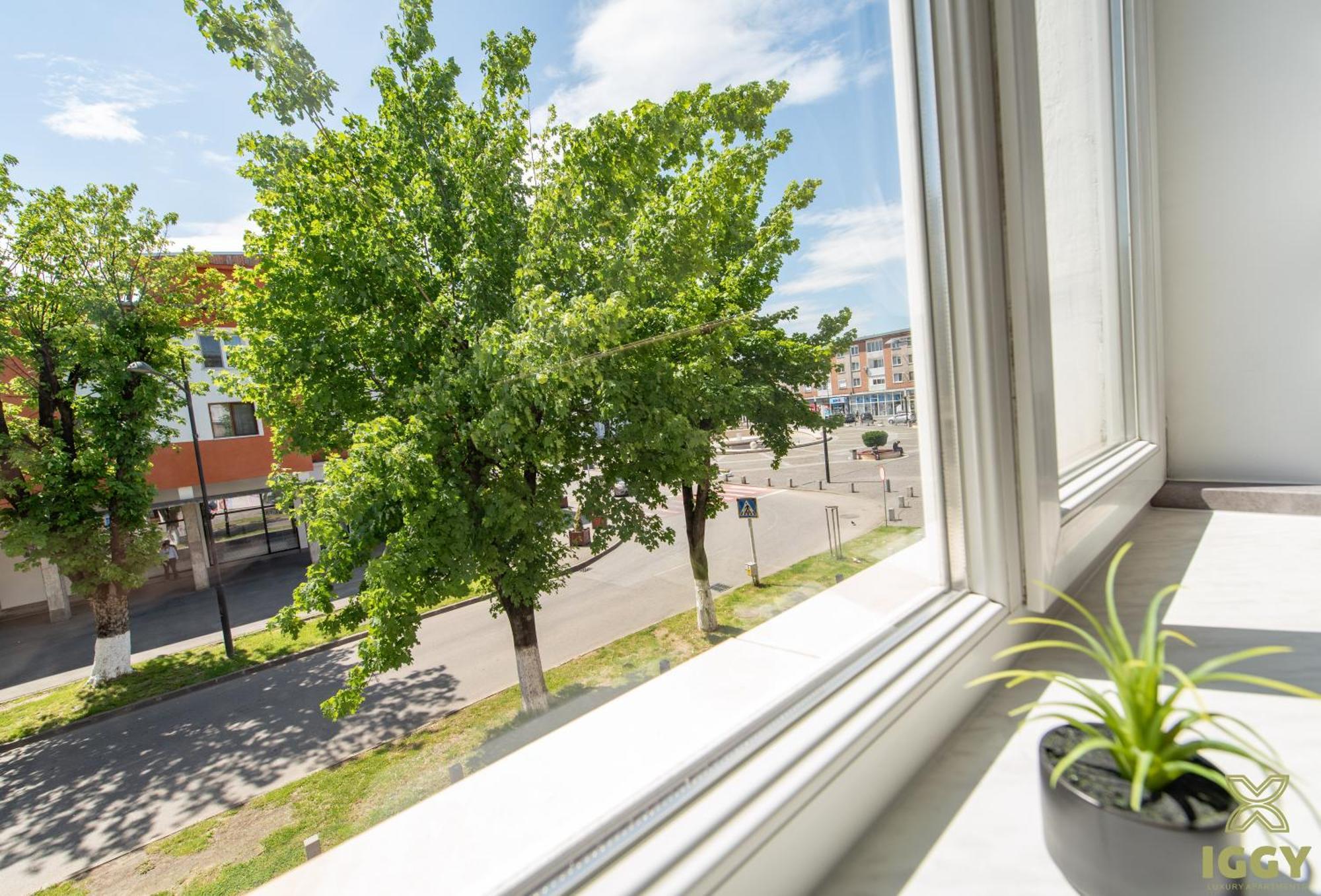 Iggy Premium Apartment Hunedoara Bagian luar foto