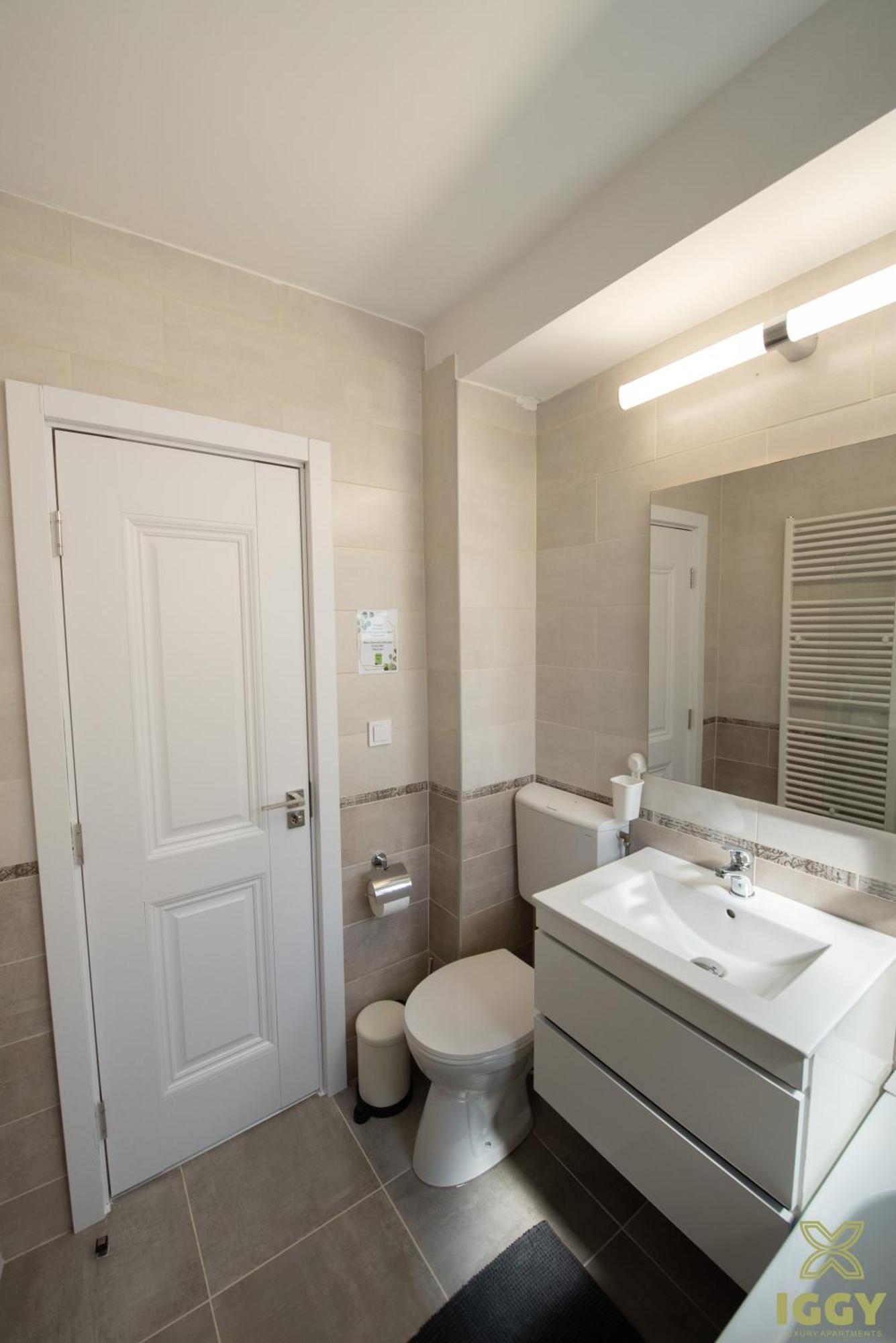 Iggy Premium Apartment Hunedoara Bagian luar foto