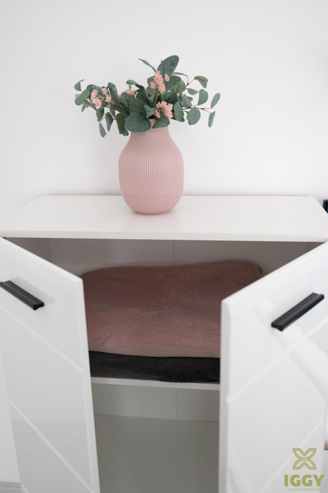 Iggy Premium Apartment Hunedoara Bagian luar foto