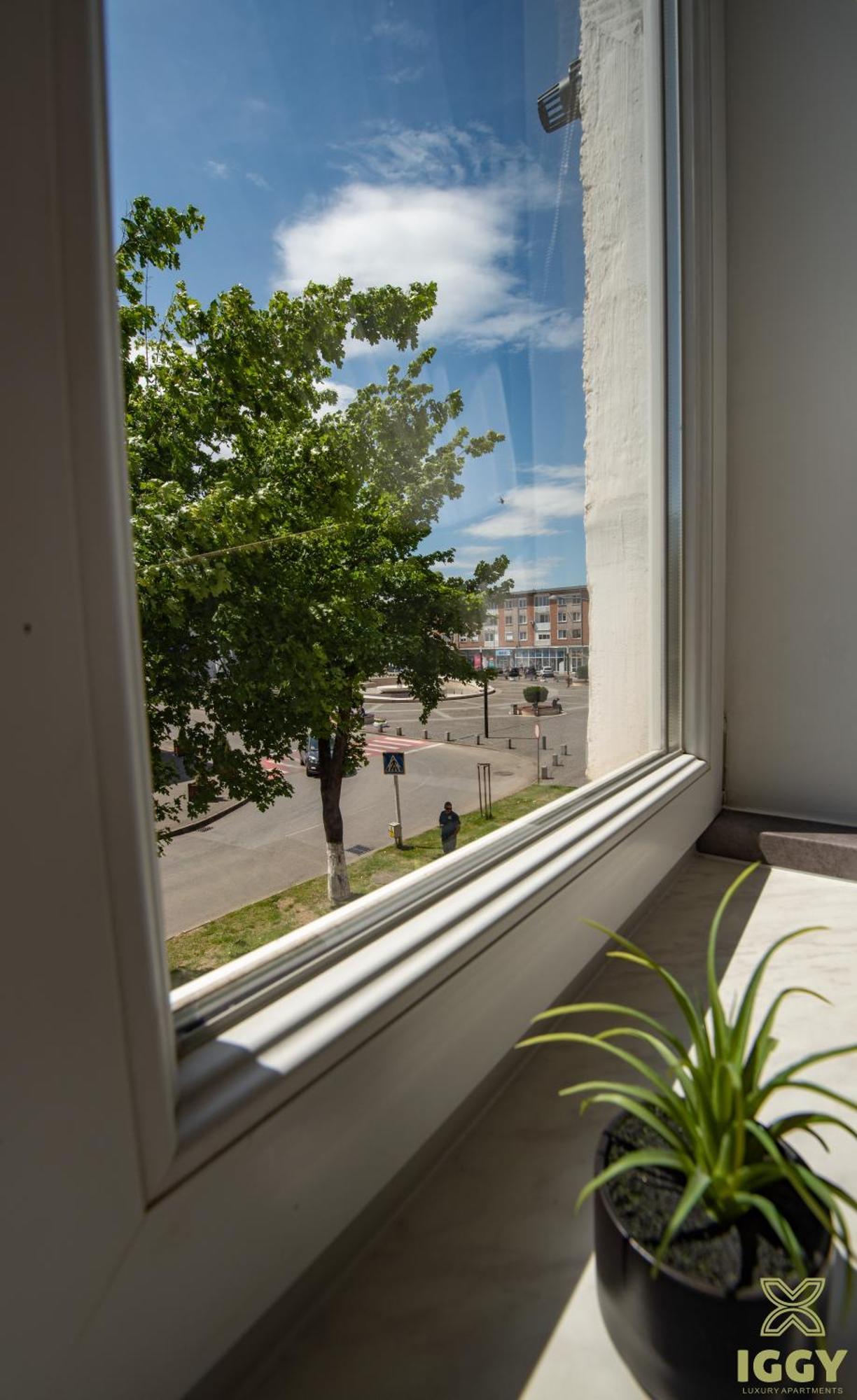 Iggy Premium Apartment Hunedoara Bagian luar foto